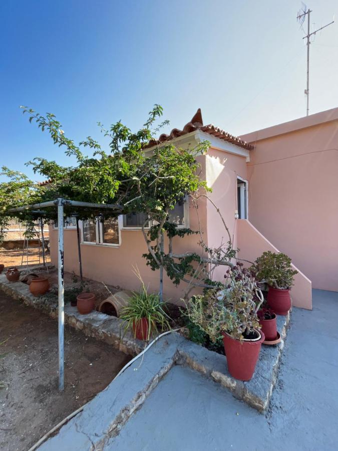Harry'S House Apartamento Elafonissos Exterior foto